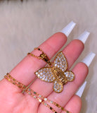 Mary Mariposa