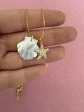 Shell & Starfish