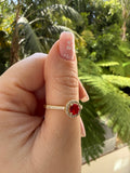 Gold Halo Ring (Red)