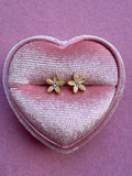 Dainty Daisy Studs (beige)