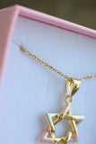 Tricolor Star Of David (Rolo Chain)