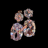 Large Oval Dangle Earrings