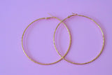 Julie Hoops
