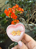 Enamel Flower Studs (Orange)
