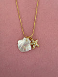 Shell & Starfish