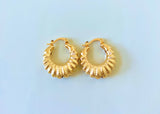 Shell Hoops