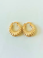 Shell Hoops