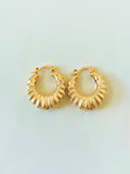 Shell Hoops