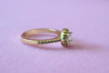 Gold Halo Ring (White)