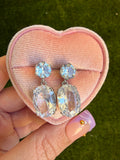 Large Oval Dangle Earrings