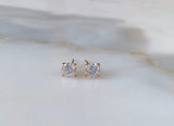 Rose Gold Plated Round CZ Studs In 2 Styles